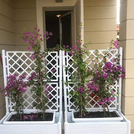 Casa Marisa-3